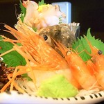 KAKIYA シェル＆シュリンプ - 特大の牡丹海老と甘海老、アカニシ貝