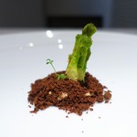 レストランディファランス - たらの芽 珈琲 カシューナッツ