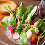 《Appetizer》シェフ厳選野菜のバーニャ・カウダー（一人前）