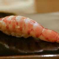 日本橋蛎殻町 すぎた - 車海老