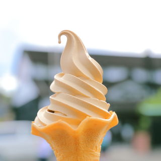 マルキン醤油記念館 売店_0