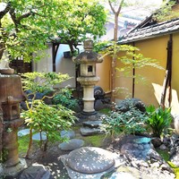 モトイ - ＜2016年8月＞ダイニングから臨む中庭はゆったりと。