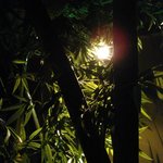 吉祥寺庭宴 - 業態は…竹林個室ダイニング