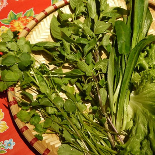 香草あります