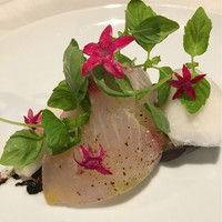 Cucina Italiana 東洞 - 平政のカルパッチョを黒ニンニクのソースで (201６年11月再訪)