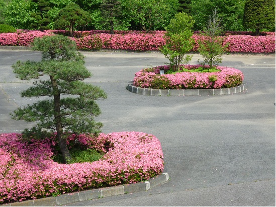 ホテル三陽 - 大船渡（料理旅館）の写真