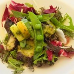 タベルナ ロンディーノ - 前菜（2016年６月）