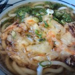 道の駅 いながわ そばの館 - かき揚げうどん