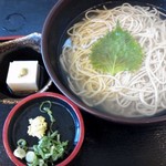 道の駅 いながわ そばの館 - 釜揚げソバ