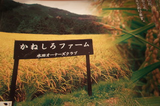 Sumibiyakinikukaneshiro - かねしろ米（コシヒカリ）　鳥取県日南町に設立した「かねしろファーム」。