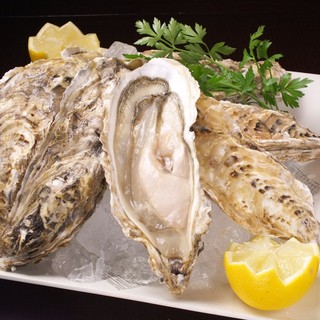 [A must-see for raw Oyster lovers ◎] Oyster in season now available for 300 yen each