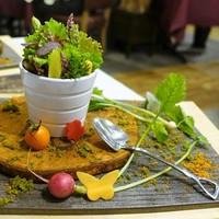 クレアバックス - 鉢植え　大和田農園直送有機野菜　