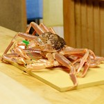 緒方 - 間人蟹（お店で扱う本年初物でございます）