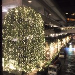 Takazu Bisutoro Viesu - 11月中旬より1月中旬まで店内の窓から見える街路樹全てにイルミネーション点灯