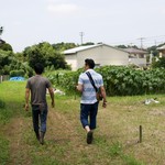 産直地魚と農園野菜 煉 - 