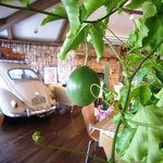 オレンジ カウンティ Cafe - 店内にパッションフルーツ