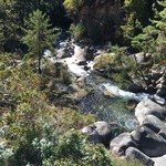 うどんのこいけや - 