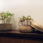 天冨良 よこ田 - 