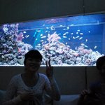 ＤＥＮ アクアルーム 新宿 - 大きな水槽