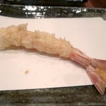 天冨良 よこ田 - 