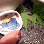 佐賀牛 季楽 銀座  - 