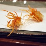 天冨良 よこ田 - 