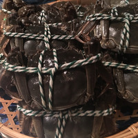 月居 赤坂 - まだ生きてる上海蟹！