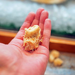 寿司栄 - 卵白をつかって作った醤油の泡を載せた毛蟹の握り