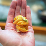 寿司栄 - 昆布の森の塩水雲丹の握り