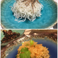 CINA New Modern Chinese - 