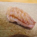Sushi Yasuke - ミル貝