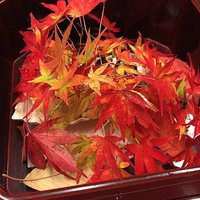 本湖月 - 