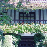 レストラン鯛萬 - 