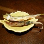 銀の雪 - 2010/11/24、銀の雪の定番のライター炙り物