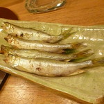 いろり庵 - シシャモ(雄) 2016.11月