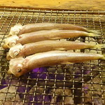 いろり庵 - シシャモ(雄) 2016.11月