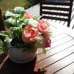 石舟庵 - テラス