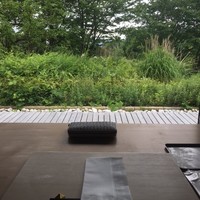 素透撫 - 