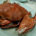 生記海鮮菜館 - 