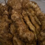 楽山 - 店主が採ってきた山芋？自然薯？