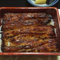 中川楼 - うな重