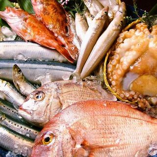 Fresh fish delivered directly from Boso in the morning! We are particular about freshness!