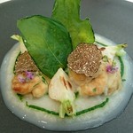 プレヴナンス - 