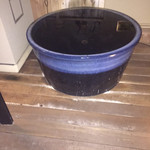 日本料理　伊せ吟 - 