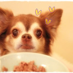 焼肉 山咲亭 - 土・日・祝日限定でペット同伴OK！