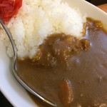 蕎麦一心たすけ - 日替わりセットのカレー
      2016年11月