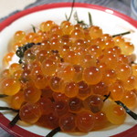 生簀の甲羅 - たっぷりイクラ丼
