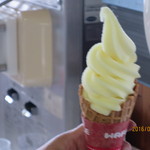 道の駅 虹の湖 - 