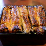 藤舟 - うな重特上（大盛）