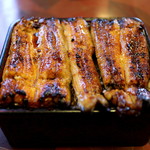 藤舟 - うな重特上（大盛）